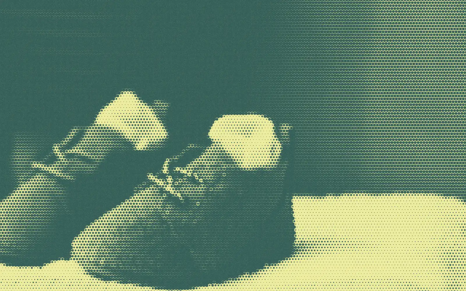 Tiny baby shoes on folded towels in a moss and pale yellow halftone print.